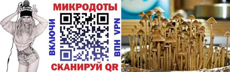 Галлюциногенные грибы Cubensis  Грайворон 